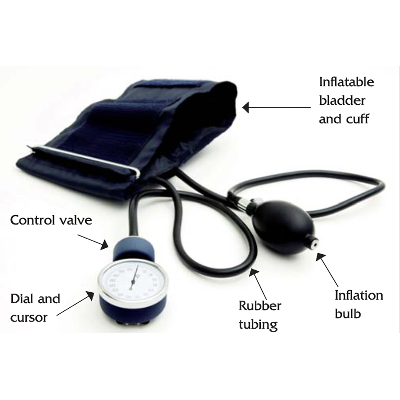 Researching blood pressure monitors, focusing on component design and measurement methods as references for our project.